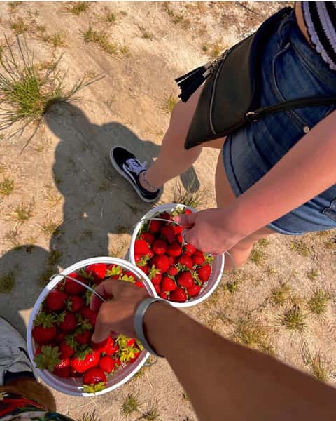 Strawberries