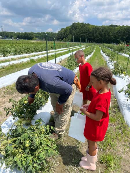 Pick Your Own 