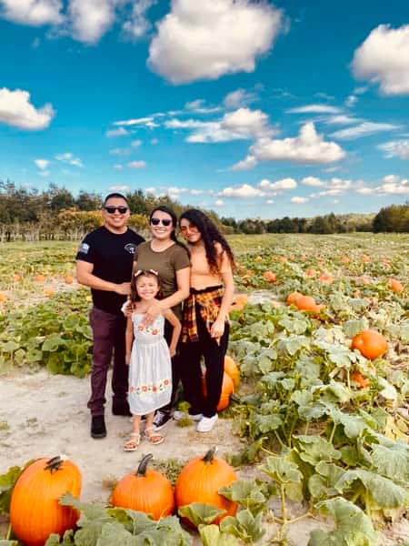 Pumpkin Patch