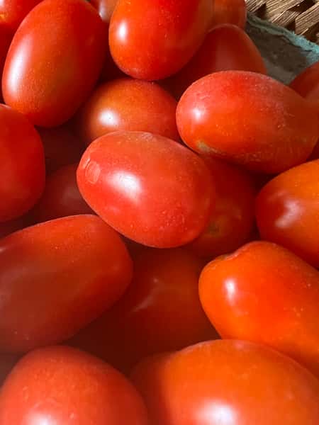 Roma Tomato