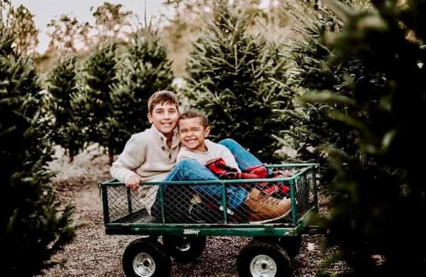 Holidays on the Farm