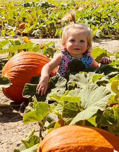 Pick Your Own Pumpkin
