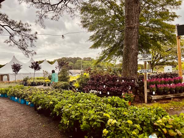 Greenbrier Farms Nursery
