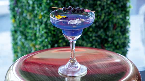  BlueBerry Cocktail  