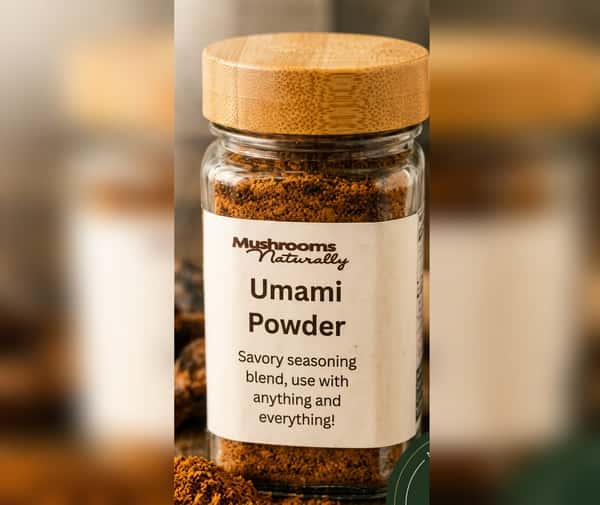 Umami Powder