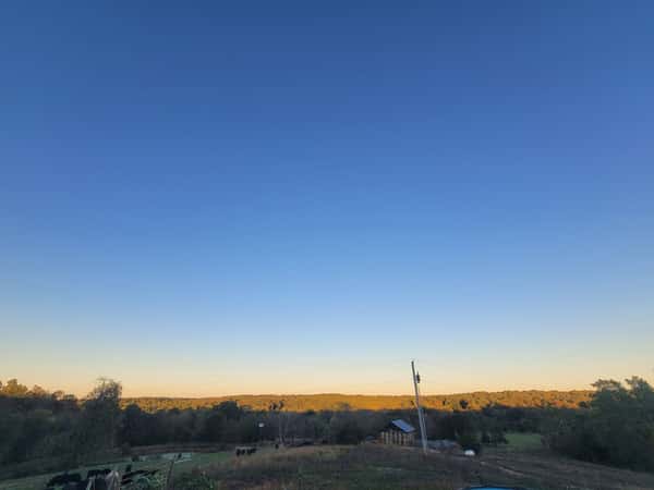 It's Monday, and we are at the farm.
We're looking forward to an event-filled week ahead:
Join us for three tasting events this week.
🍷🥃🎉Wednesday, October 21, from 5 PM to 7 PM is the Festive Feasting event with Revelton Distillery, Pinnacle Wines, and Pierce Creek holiday pies and sides sampling.
🍾🍷Thursday, October 22, from 5 PM to 7 PM, more wine with Classique Wines & Spirits.
🌿🍄Saturday, October 24, from 11 AM to 2 PM, our Saturday Sampling Series continues with Harvest Shreds.
We hope to see you!
Pierce Creek
10405 Old Olive Street Road
Creve Coeur, MO
Restaurant, bar, bakery, butcher, deli, market
Tuesday through Saturday
Food service 8 AM to 8 PM
Bar open until 9 PM