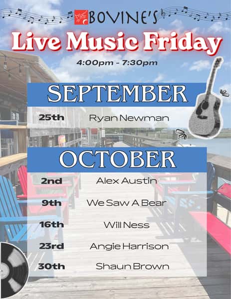 Bovines live music