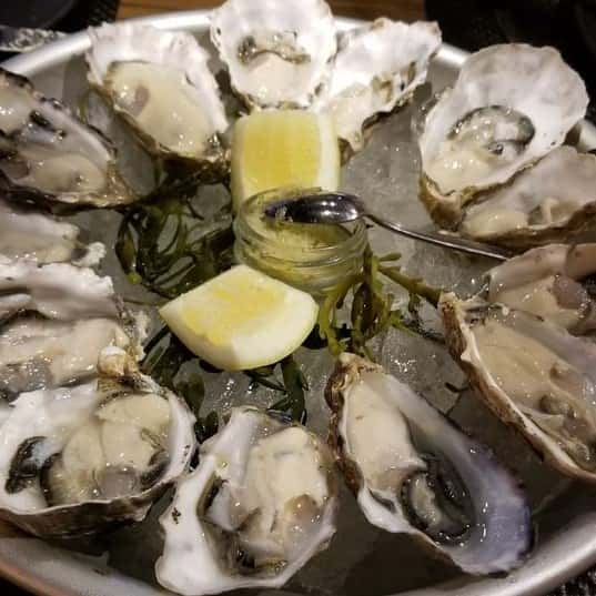 Oysters