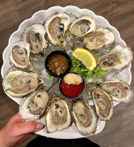 Oysters
