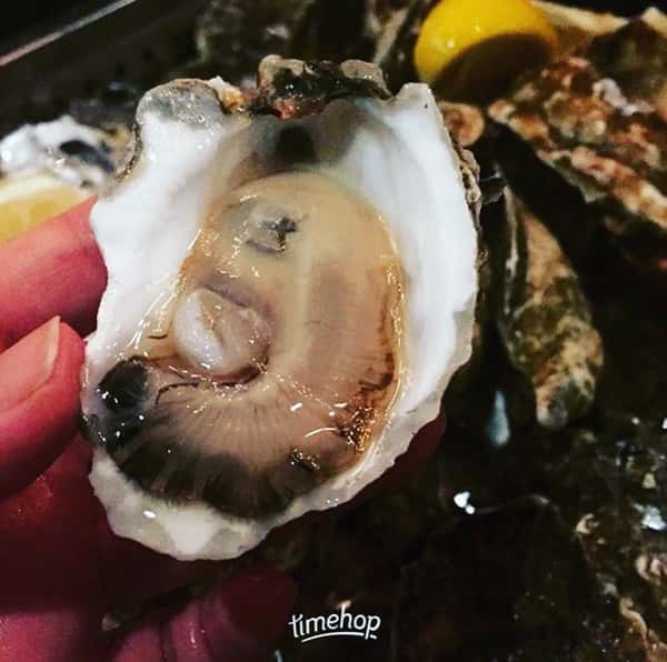 Wellfleet Oysters