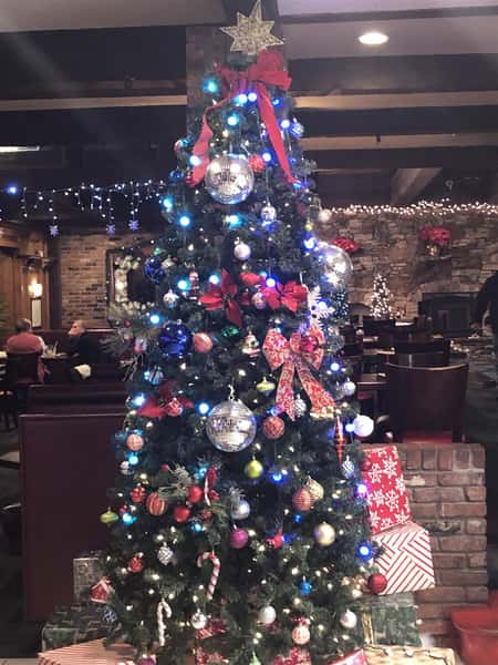 chirstmas tree with light