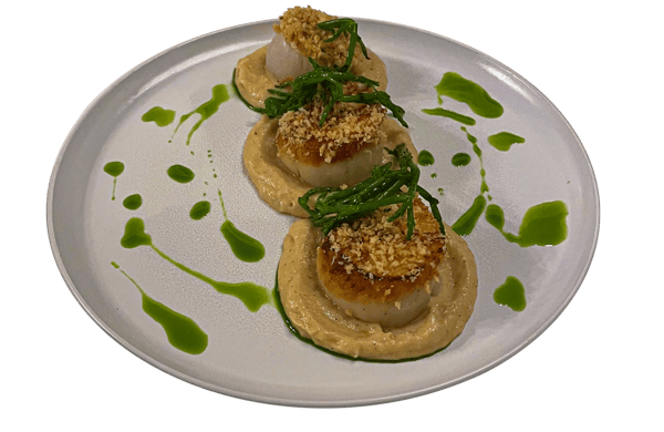 Scallops