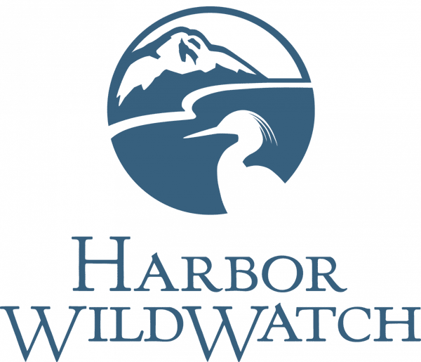 Harbor Wild Watch Salmon Dinner