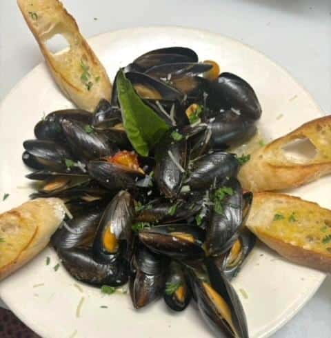 Mussels APP