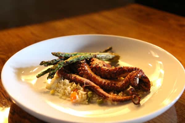octopus