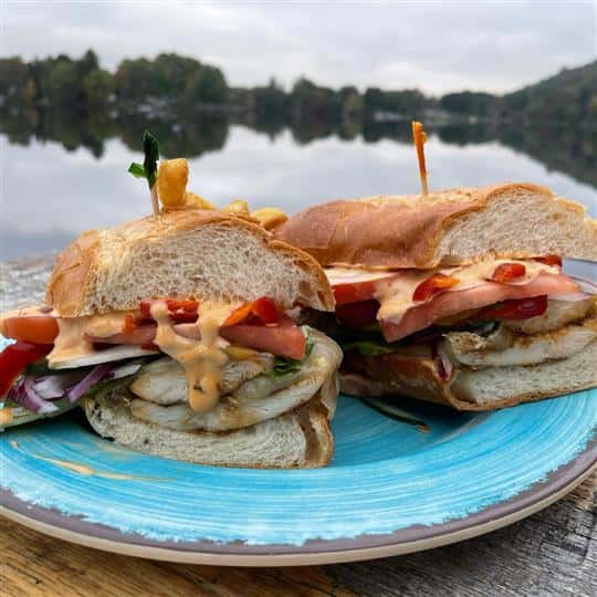 chicken sandwiches with melted cheese and onions
