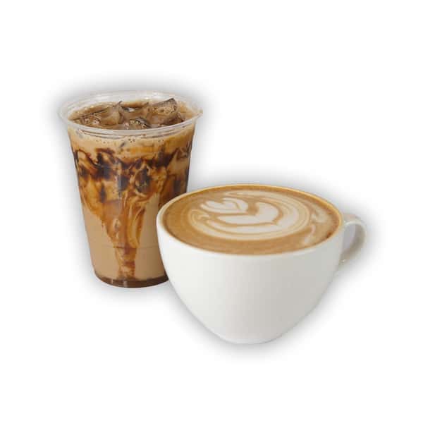 Turtle Latte