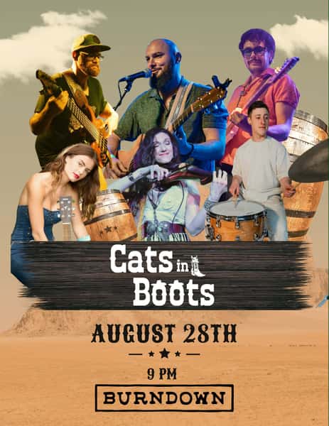Cats in Boots