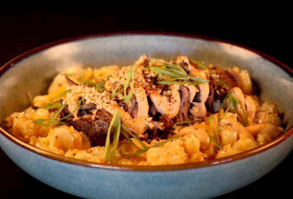 Short Rib Mac & Cheese
