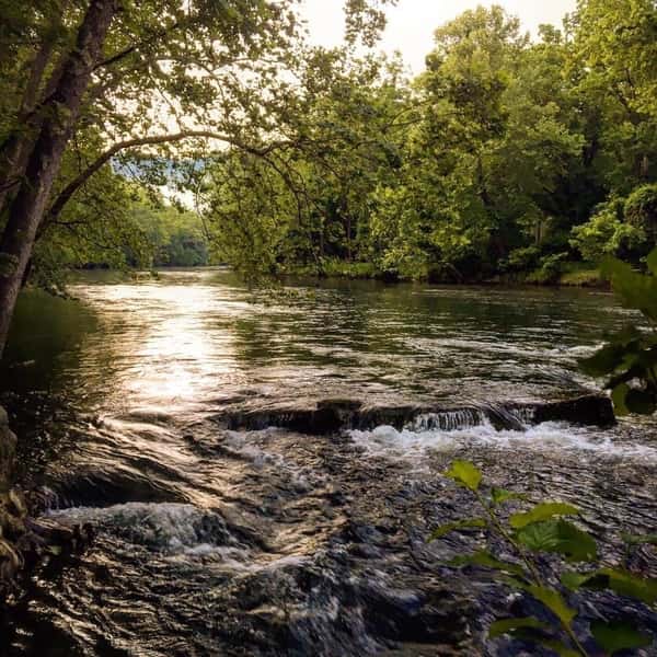 Jackson River