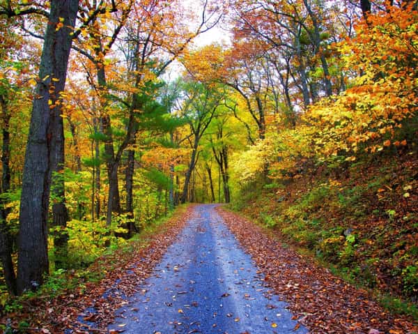 Jackson River Scenic Trail