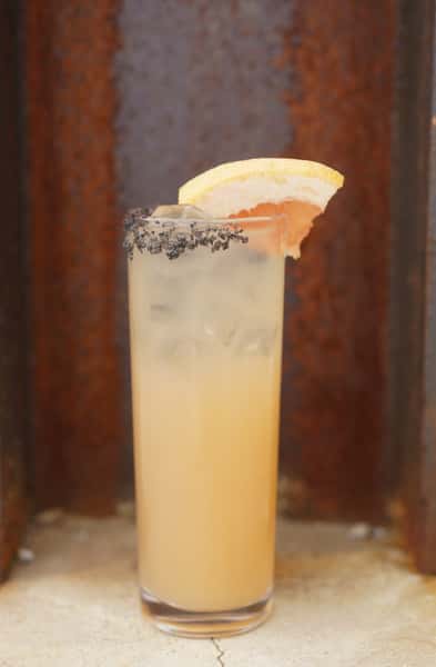 LA PALOMA