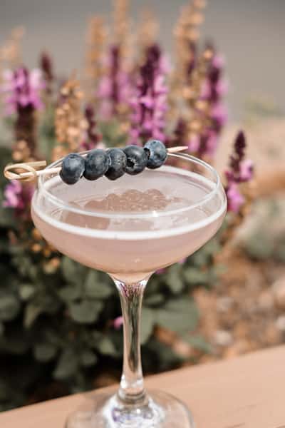 BLUEBERRY SKIES