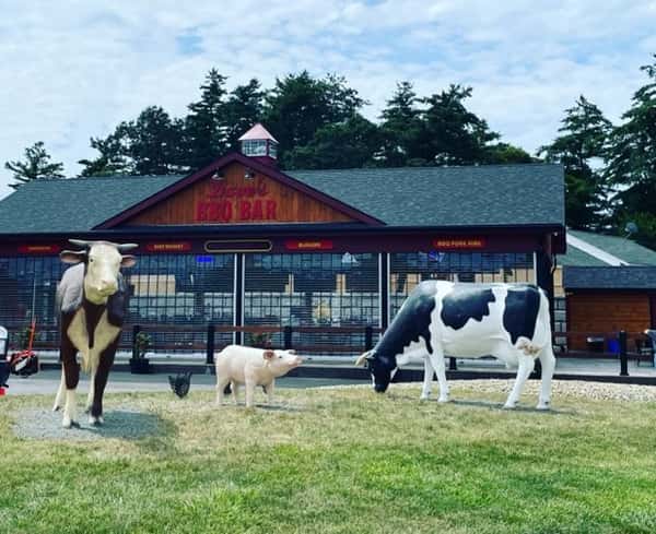 animals at bbq bar