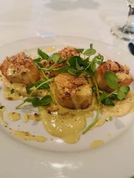 Pan Seared Scallops