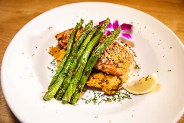 salmon