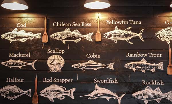 Fresh Catch