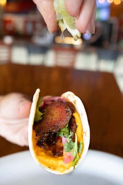 Pork Belly Taco