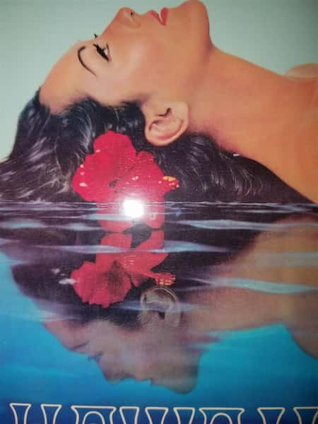 a picture of a woman laying down in water, with a flower in her hair