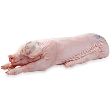 Christmas Whole Roasting Pig (Medium 50-60lbs)