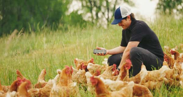 man with chickens