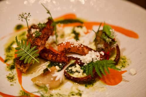 plated meal