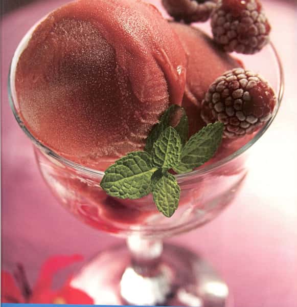 cup of raspberry serbet with mint