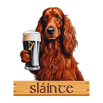 Thirsty Dog Irish Setter Red