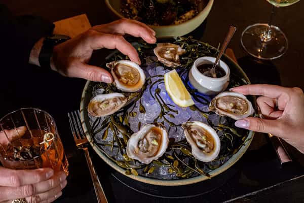 oysters