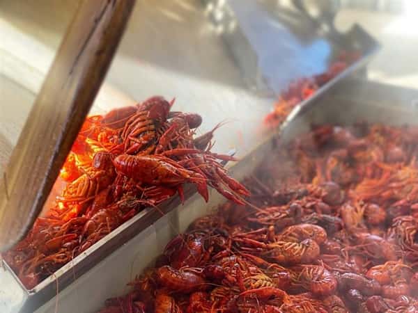 boiled crawfish