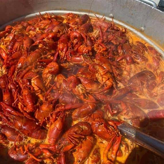 boiled crawfish