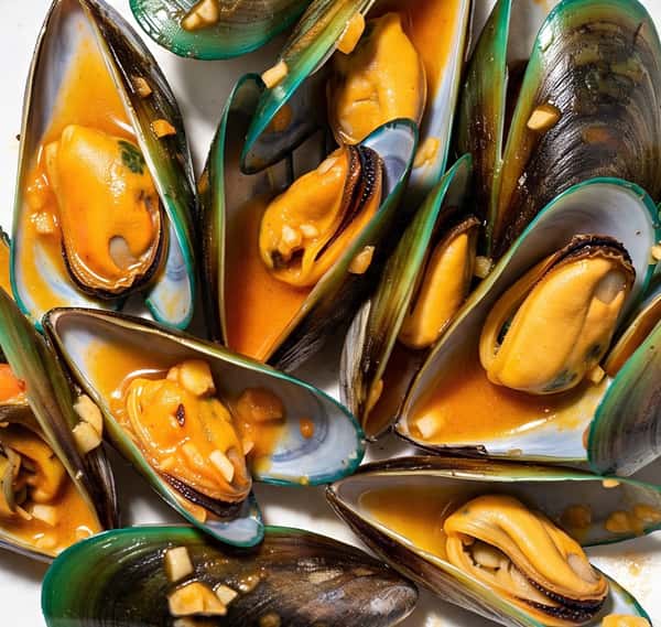 1 LB GREEN MUSSEL