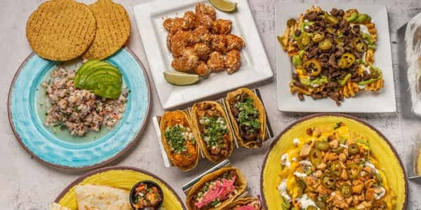 Tacos and entrees on a table
