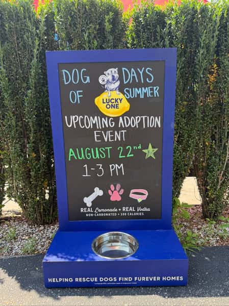 🐾🌮 Tomorrow is the day! 💛🐶
Join us for All Paws on Deck on August 22nd, an afternoon filled with wagging tails, good vibes, and plenty of memories with your favorite furry friends. 🐾✨
Bring your pup, bring your friends, and enjoy a summer day made for dog lovers with delicious bites, refreshing sips, and fun for everyone (four-legged guests included)! ☀️
🐶 Hosted with @all_paws_on_deck_ct
🍪 Featuring @twentypawsbakery
🍋 Featuring @luckyonelemonade
See you there! 🌮🐾
#Taquerio #AllPawsOnDeck #MysticCT #DogLovers #SummerEvents #AdoptDontShop #CTEats #CTEvents