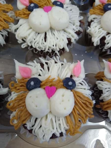 Cake