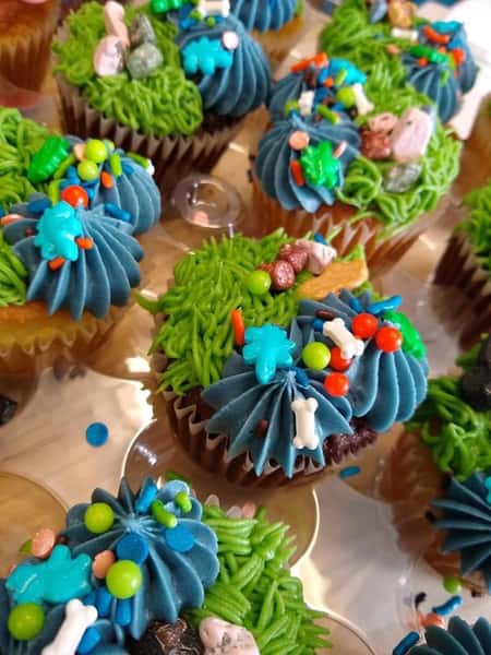 Cake