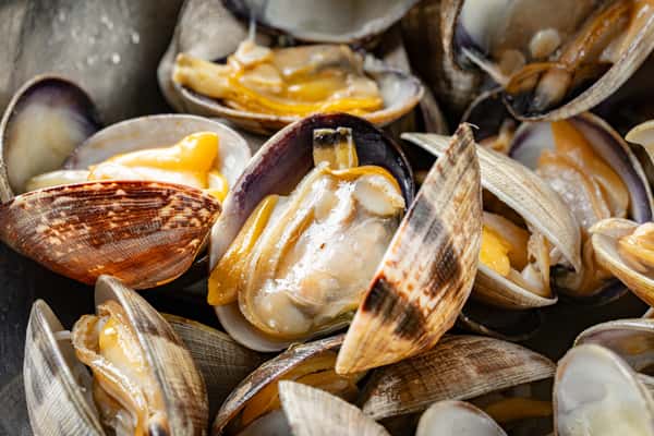 Clams
