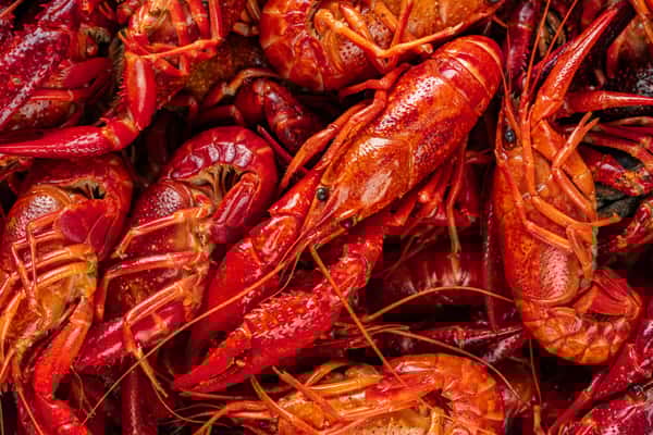 Crawfish