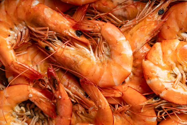 Shrimp (Head On) 1/2 Lb