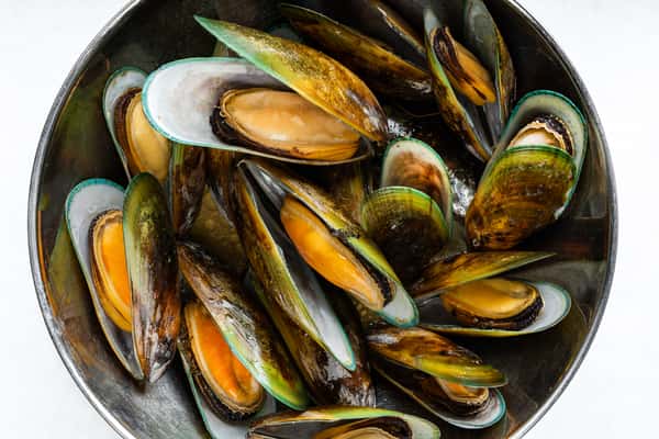 Mussels